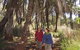 Millstream Chichester National Park - thumb 2