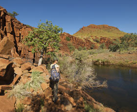 Millstream Chichester National Park - Tourism Guide 3