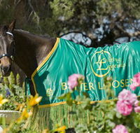 Living Legends The International Home of Rest for Champion Horses - Tourism Guide