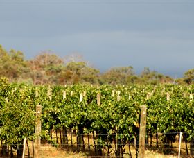 Amulet Vineyard And Beechworth Cider - Tourism Guide 7