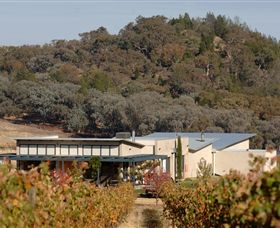 Amulet Vineyard And Beechworth Cider - Tourism Guide 8