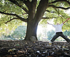 Albury Botanic Gardens - Tourism Guide 1