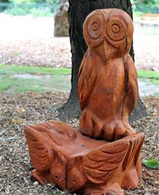 Albury Botanic Gardens - Tourism Guide 7