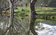 Wagirra Trail And Yindyamarra Sculpture Walk - thumb 1