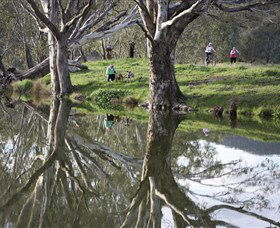 Wagirra Trail And Yindyamarra Sculpture Walk - Tourism Guide 1