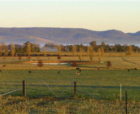 Holbrook NSW Travel Search
