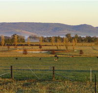 Holbrook Landcare Self-Drive Eco Tour - Travel Search