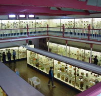 National Museum of Australian Pottery - Travel Search