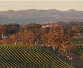 Angullong Wines - Tourism Guide 0