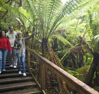 Otway Fly Treetop Adventures - Tourism Guide