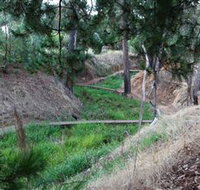 Lions Club Bicentennial Walk - Tourism Guide