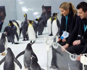 SEA LIFE Melbourne Aquarium - Tourism Guide 2