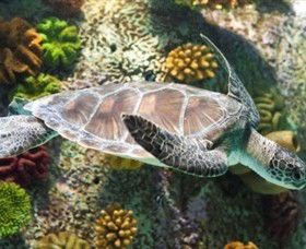 SEA LIFE Melbourne Aquarium - Tourism Guide 5
