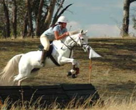 National Equestrian Centre - Kerrabee - Tourism Guide 0