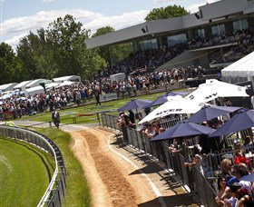Thoroughbred Park Canberra Racing Club - Horse Racing In The Nations Capital - Tourism Guide 0