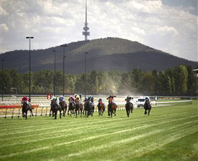 Thoroughbred Park Canberra Racing Club - Horse Racing In The Nations Capital - Tourism Guide 3