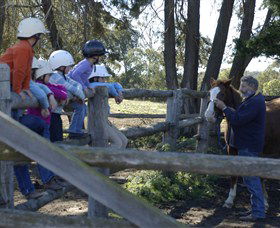 Harlow Park Horse Riding - Tourism Guide 0