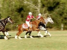 Morgan Park, Warwick - Travel Agents 0