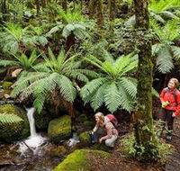 Baw Baw National Park - Tourism Guide