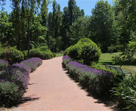 Glebe Park - Tourism Guide 1