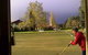 Canberra Croquet Club - thumb 0
