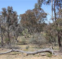 Remembrance Nature Park - Tourism Guide