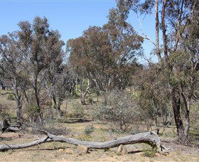 Remembrance Nature Park - Tourism Guide 0