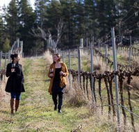 Mount Majura Vineyard - Tourism Guide