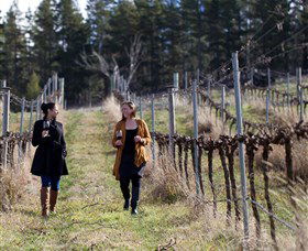 Mount Majura Vineyard - Tourism Guide 0