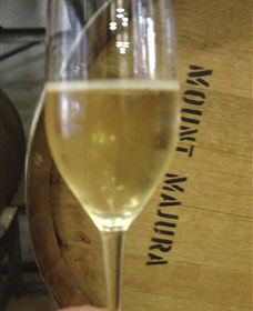 Mount Majura Vineyard - Tourism Guide 5