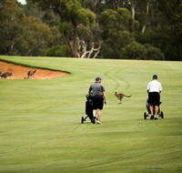 Federal Golf Club - Tourism Guide