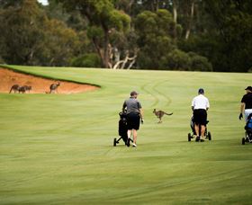 Federal Golf Club - Tourism Guide 0