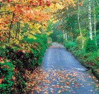 Mount Wilson and Mount Irvine - Tourism Guide