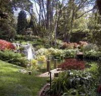 Windyridge Garden Mount Wilson - Tourism Guide