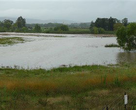 Jerrabomberra Wetlands - Tourism Guide 1