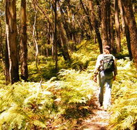 Federal Pass - Tourism Guide