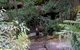 Leura Cascades Fern Bower - thumb 0