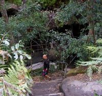 Leura Cascades Fern Bower - Tourism Guide