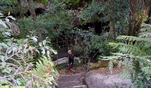 Leura Cascades Fern Bower - Tourism Guide 0
