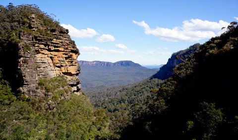 Leura Cascades Fern Bower - Tourism Guide 1