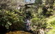 Leura Cascades Fern Bower - thumb 3