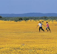 Wildflowers of the Mid West - Tourism Guide