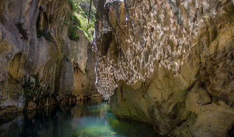 Mares Forest Creek Walking Track - Cruises Travel 2