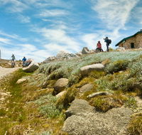 Mount Kosciuszko Summit walk - Tourism Guide