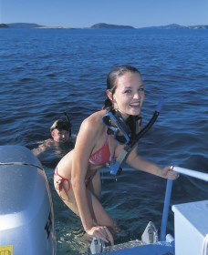 Seal Cove - Tourism Guide 0