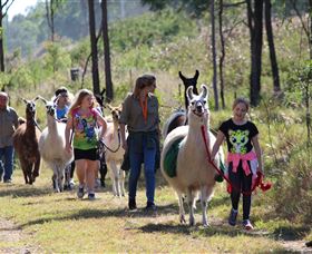 Scrub Creek QLD Tourism Guide