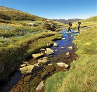 Australian Alps Walking Track - Travel Agents