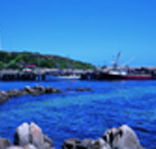 King Island Dairies - Tourism Guide