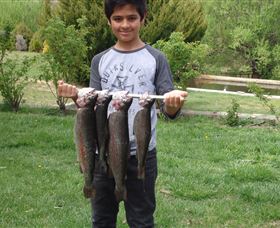 Eucumbene Trout Farm - Travel Agents 3