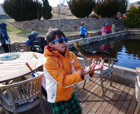 Eucumbene Trout Farm - Travel Agents 2